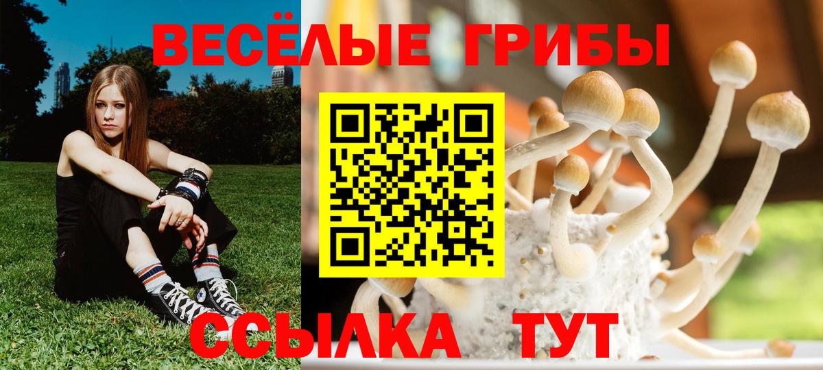 Галлюциногенные грибы GOLDEN TEACHER  Вход с VPN  Коммунар  сколько стоит  Псилоцибиновые грибы MAGIC MUSHROOMS 